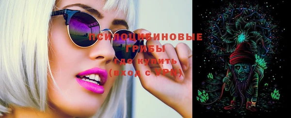 крисы Новодвинск