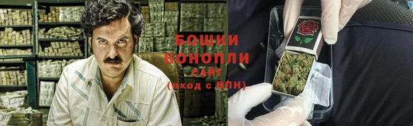 крисы Новодвинск