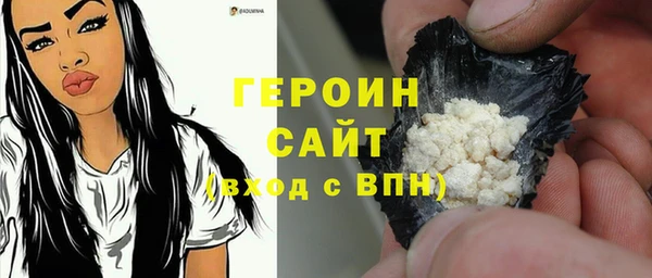 индика Новозыбков