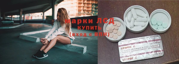 крисы Новодвинск