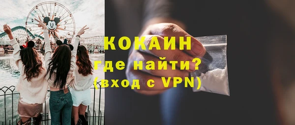 индика Новозыбков