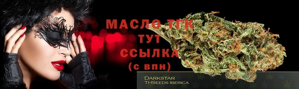 индика Новозыбков