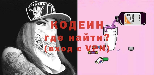 индика Новозыбков