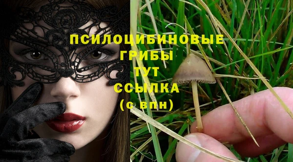 крисы Новодвинск