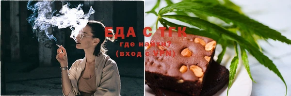 индика Новозыбков