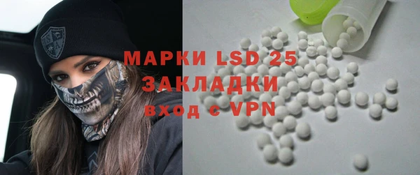крисы Новодвинск