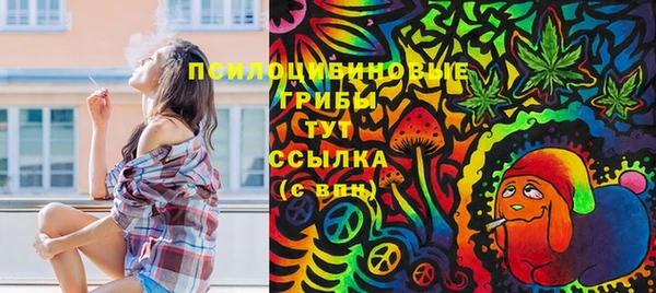 крисы Новодвинск