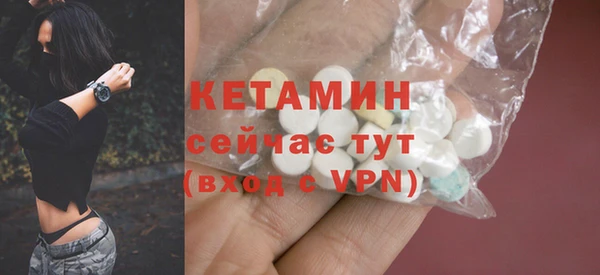 крисы Новодвинск