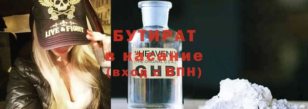 индика Новозыбков