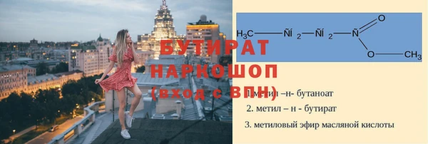 индика Новозыбков