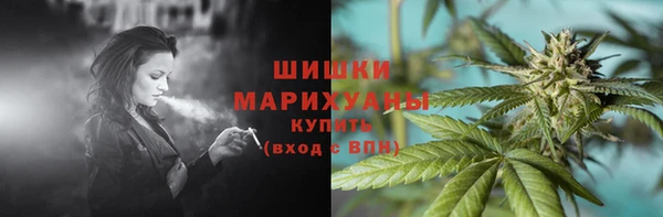 крисы Новодвинск