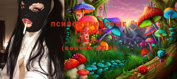 трава Новокубанск