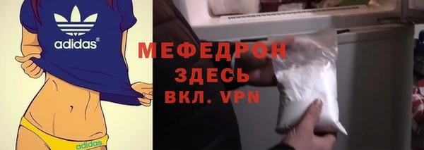 индика Новозыбков
