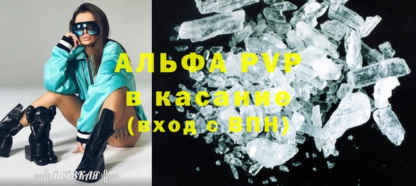 крисы Новодвинск
