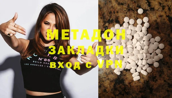 индика Новозыбков