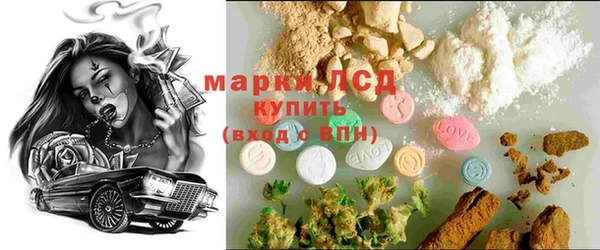 индика Новозыбков