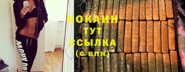крисы Новодвинск