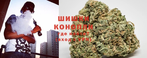 трава Новокубанск