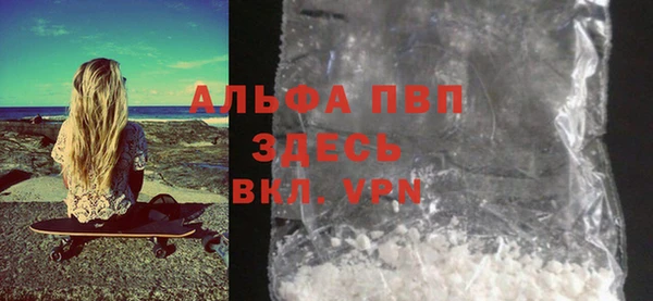 индика Новозыбков