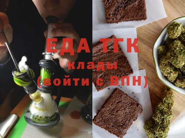 индика Новозыбков