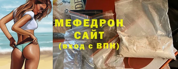 индика Новозыбков
