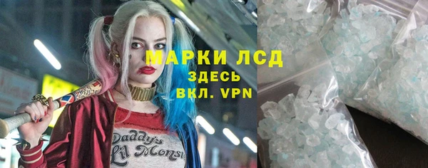 индика Новозыбков