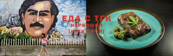 индика Новозыбков